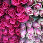 Xmasコース早割チケット、11月30日まで発売中