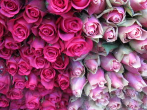 Xmasコース早割チケット、11月30日まで発売中